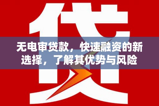 驿城无电审贷款，快速融资的新选择，了解其优势与风险