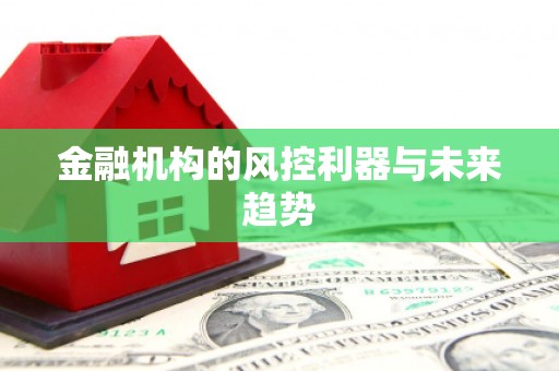 驿城金融机构的风控利器与未来趋势