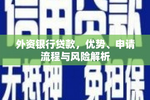 驿城外资银行贷款，优势、申请流程与风险解析