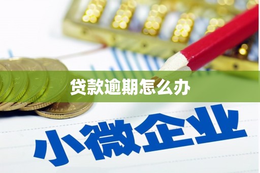 驿城贷款逾期怎么办