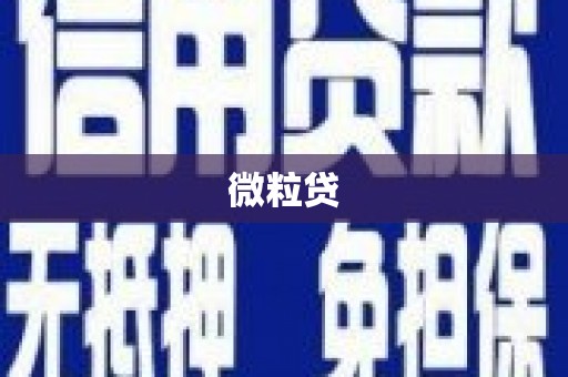驿城微粒贷
