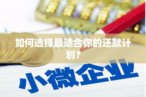 驿城如何选择最适合你的还款计划？