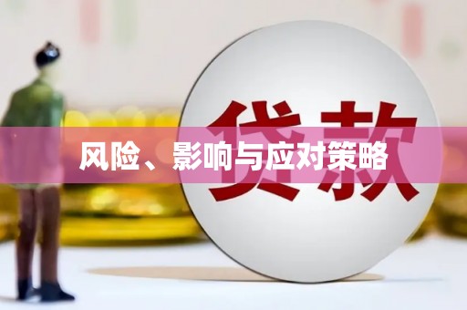 驿城风险、影响与应对策略