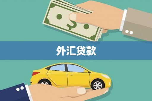 驿城外汇贷款
