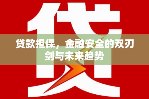 驿城贷款担保，金融安全的双刃剑与未来趋势