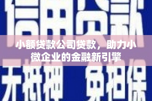 驿城小额贷款公司贷款，助力小微企业的金融新引擎