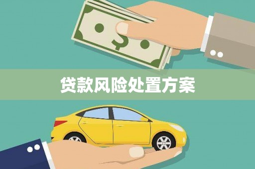 驿城贷款风险处置方案