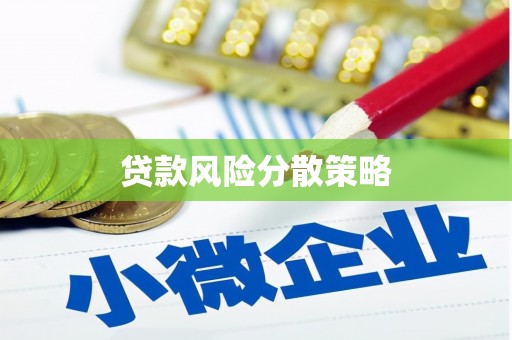 驿城贷款风险分散策略