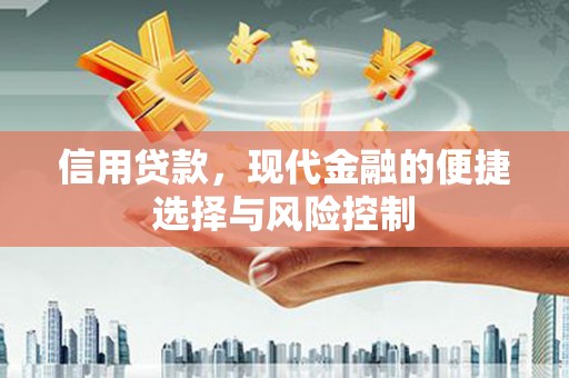 驿城信用贷款，现代金融的便捷选择与风险控制