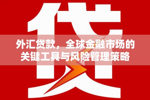 驿城外汇贷款，全球金融市场的关键工具与风险管理策略