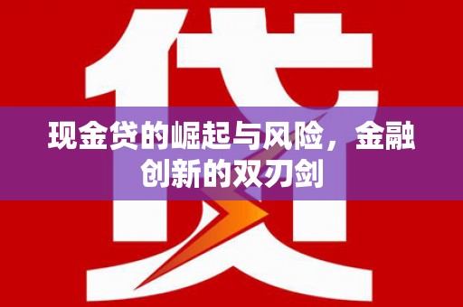 驿城现金贷的崛起与风险，金融创新的双刃剑