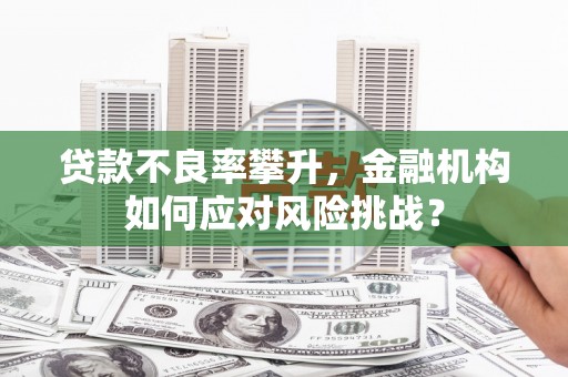 驿城贷款不良率攀升，金融机构如何应对风险挑战？