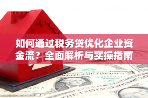 驿城如何通过税务贷优化企业资金流？全面解析与实操指南