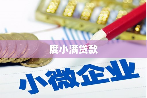 驿城度小满贷款