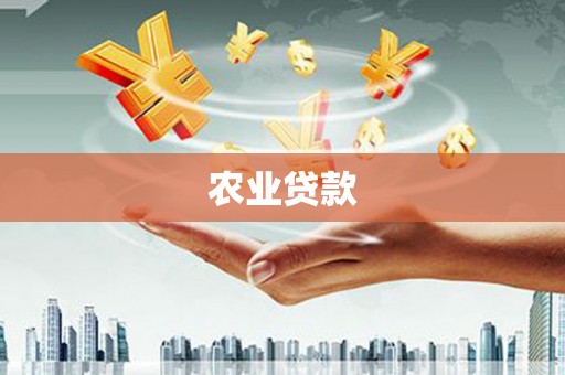 驿城农业贷款