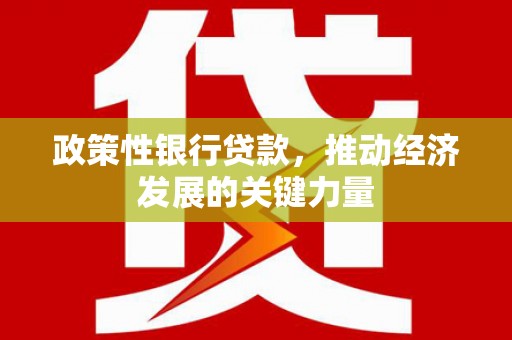 驿城政策性银行贷款，推动经济发展的关键力量