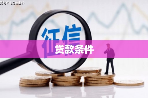 驿城贷款条件