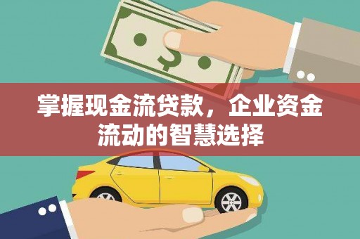 驿城掌握现金流贷款，企业资金流动的智慧选择