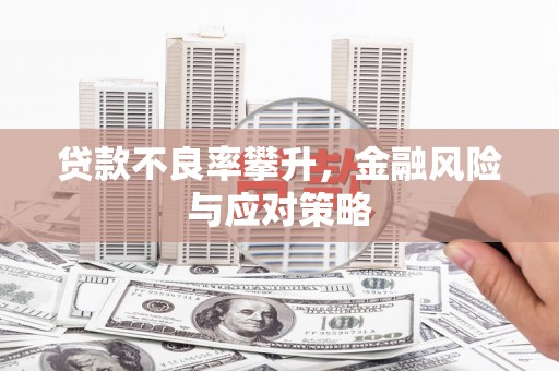 驿城贷款不良率攀升，金融风险与应对策略