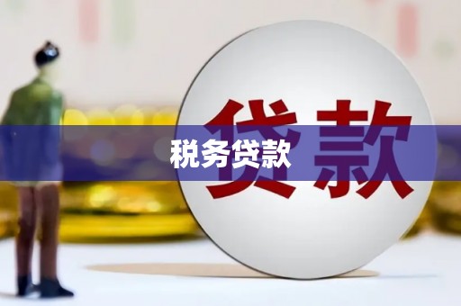驿城税务贷款