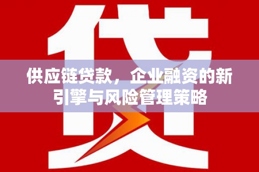 驿城供应链贷款，企业融资的新引擎与风险管理策略