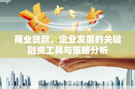 驿城商业贷款，企业发展的关键融资工具与策略分析