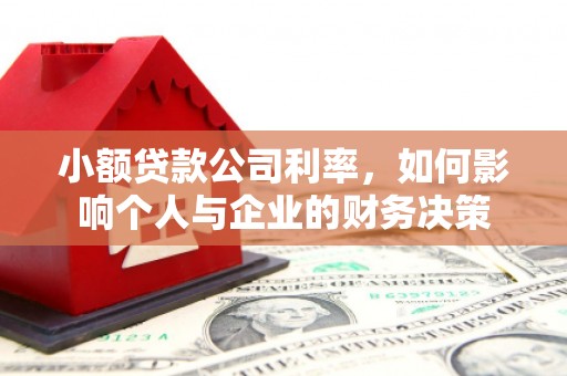 驿城小额贷款公司利率，如何影响个人与企业的财务决策