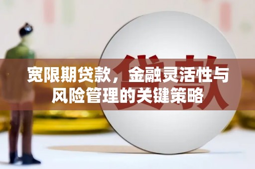 驿城宽限期贷款，金融灵活性与风险管理的关键策略