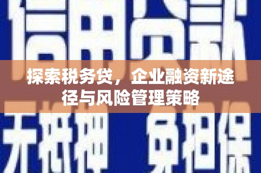 驿城探索税务贷，企业融资新途径与风险管理策略