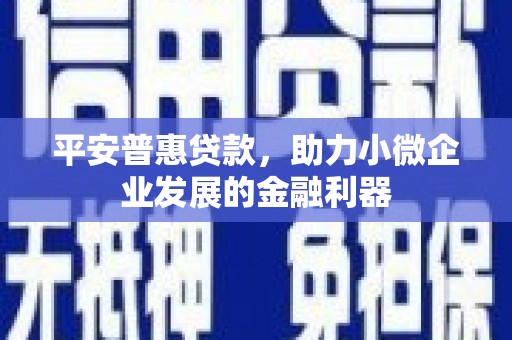 驿城平安普惠贷款，助力小微企业发展的金融利器