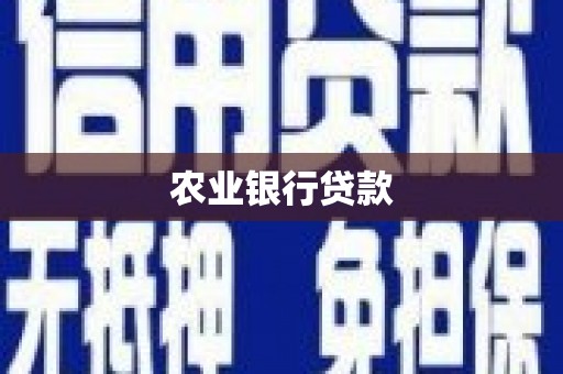 驿城农业银行贷款