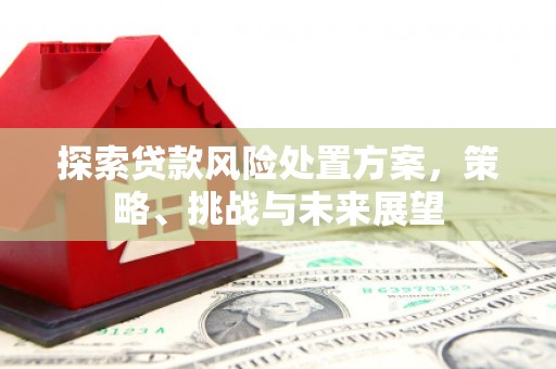 驿城探索贷款风险处置方案，策略、挑战与未来展望