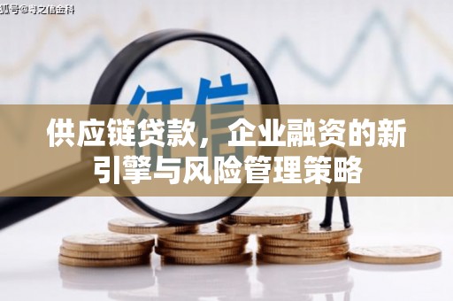 驿城供应链贷款，企业融资的新引擎与风险管理策略
