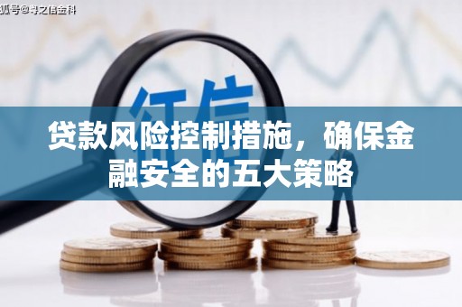 驿城贷款风险控制措施，确保金融安全的五大策略