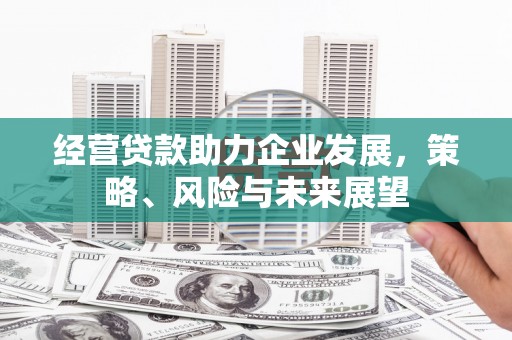 驿城经营贷款助力企业发展，策略、风险与未来展望