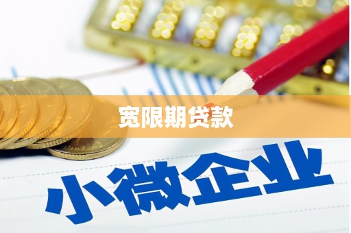 驿城宽限期贷款