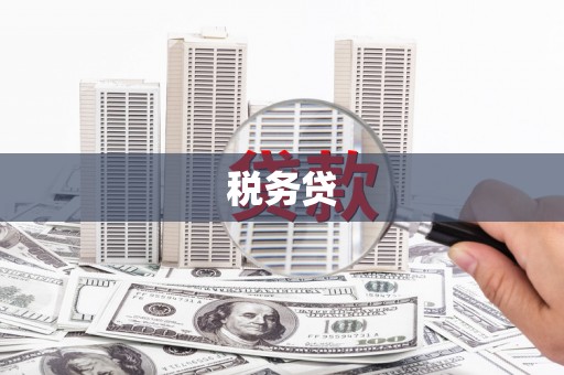 驿城税务贷
