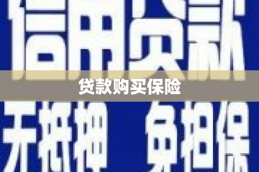 驿城贷款购买保险