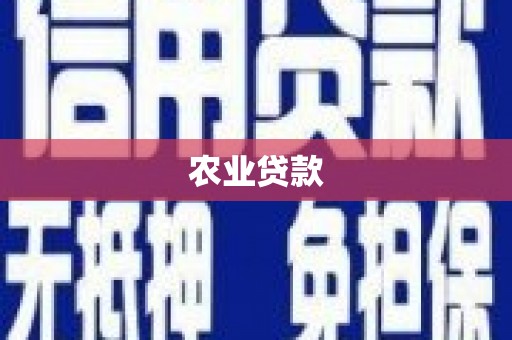 驿城农业贷款