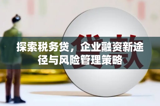 驿城探索税务贷，企业融资新途径与风险管理策略