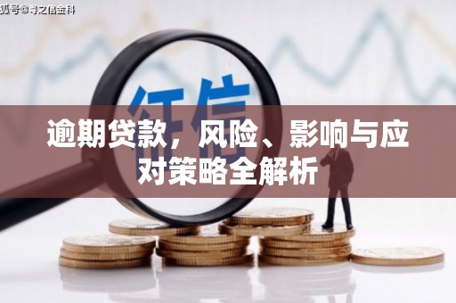 驿城逾期贷款，风险、影响与应对策略全解析