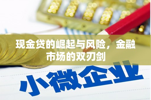 驿城现金贷的崛起与风险，金融市场的双刃剑