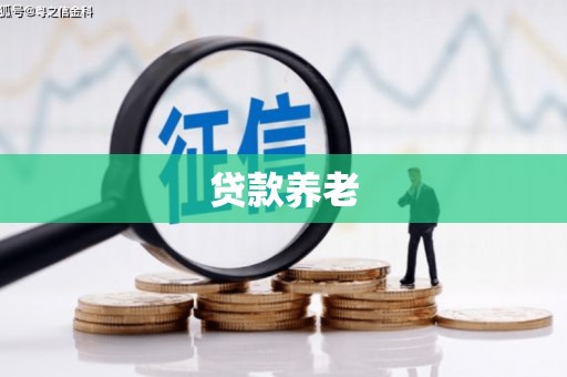 驿城贷款养老