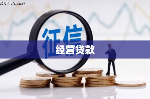 驿城经营贷款