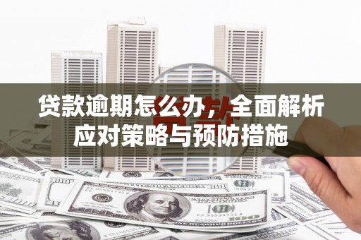 驿城贷款逾期怎么办，全面解析应对策略与预防措施