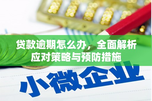 驿城贷款逾期怎么办，全面解析应对策略与预防措施