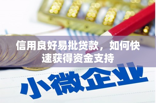 驿城信用良好易批贷款，如何快速获得资金支持