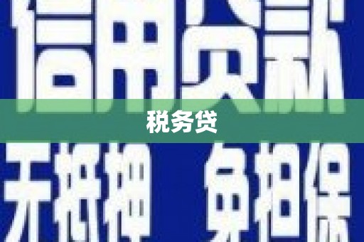 驿城税务贷