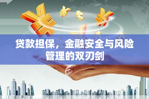 驿城贷款担保，金融安全与风险管理的双刃剑