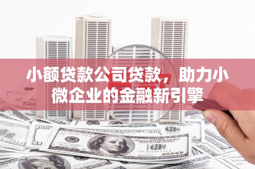 驿城小额贷款公司贷款，助力小微企业的金融新引擎